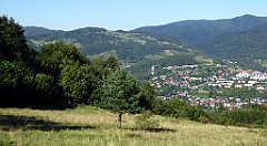 596_TZ60_P1140908_cr