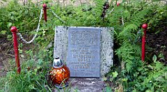 615_TZ60_P1140922_cr