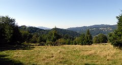 624_TZ60_P1140925_cr