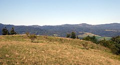 643_TZ60_P1140940_cr