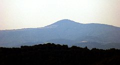 658_TZ60_P1140955a_cr