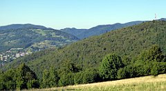 696_TZ60_P1140976_cr