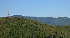 700_TZ60_P1140980_cr