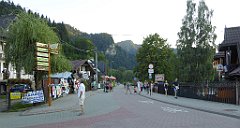 893_TZ60_P1150026_cr