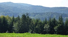 161_TZ60_P1150160_cr