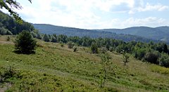 173_TZ60_P1150170_cr