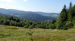 174_TZ60_P1150172_cr