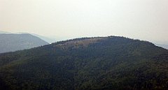 203_TZ60_P1150200_cr