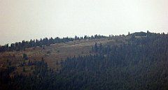 204_TZ60_P1150201_cr