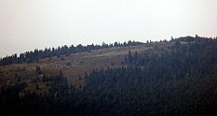 205_TZ60_P1150202_cr