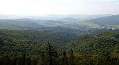 217_TZ60_P1150214_cr