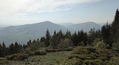 317_TZ60_P1150237_cr