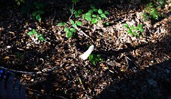 346a_TZ60_P1150259_cr