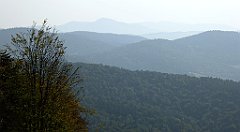 0059_TZ60_P1150328_cr