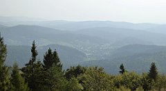 0123_TZ60_P1150375_cr