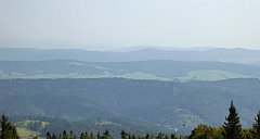 0143_TZ60_P1150399_cr