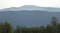 0219_TZ60_P1150445_cr