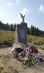 0253_TZ60_P1150467_cr