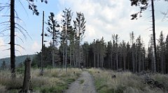 0277_TZ60_P1150483_cr