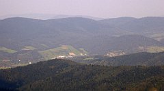 0280_TZ60_P1150488_cr