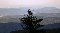 0282_TZ60_P1150492_cr