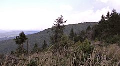 0284_TZ60_P1150495_cr