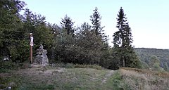 0320_TZ60_P1150529_cr