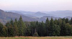 0393_TZ60_P1150559_cr