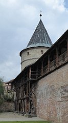 205_TZ60_P1150776_cr