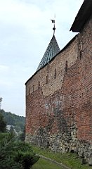 215_TZ60_P1150785_cr