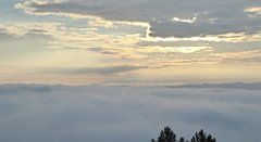 021_TZ60_P1150854_cr