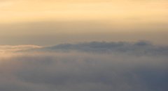 022_TZ60_P1150855_cr