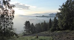 029_TZ60_P1150862_cr