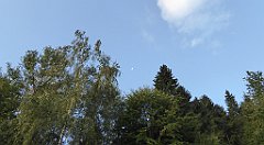 032_TZ60_P1150863_cr