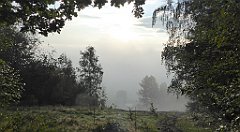 038_TZ60_P1150867_cr