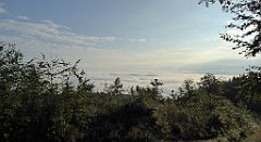 054_TZ60_P1150873_cr