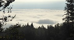 072_TZ60_P1150886_cr