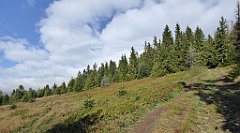 113_TZ60_P1150910_cr