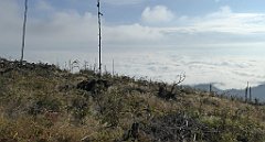 156_TZ60_P1150946_cr