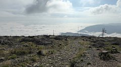 158_TZ60_P1150948_cr