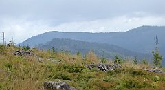 253_TZ60_P1150952_cr