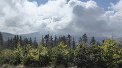 280_TZ60_P1150967_cr