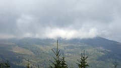 286_TZ60_P1150972_cr