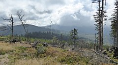 287_TZ60_P1150973_cr