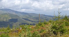 321_TZ60_P1150993_cr