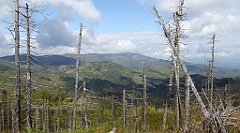 345_TZ60_P1150996_cr