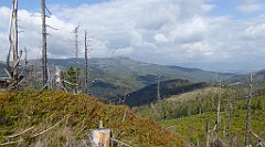 359_TZ60_P1150999_cr