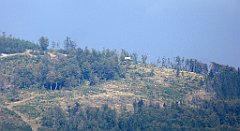 361_TZ60_P1160002_cr