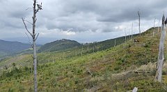 377a_TZ60_P1160005_cr