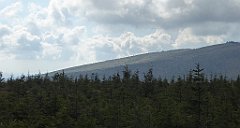 388_TZ60_P1160007_cr